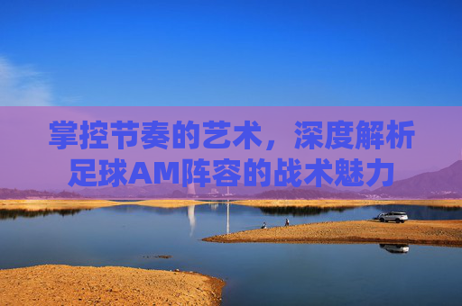 掌控节奏的艺术,深度解析足球AM阵容的战术魅力