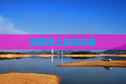 绿茵场上的追光者