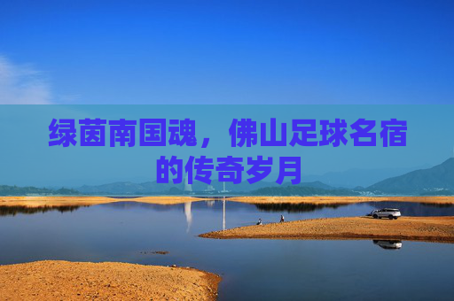 绿茵南国魂,佛山足球名宿的传奇岁月