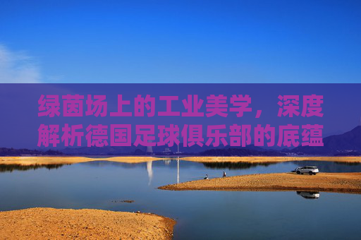 绿茵场上的工业美学，深度解析德国足球俱乐部的底蕴与魅力