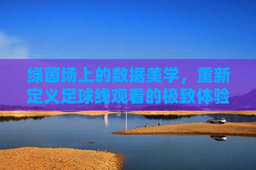 绿茵场上的数据美学,重新定义足球线观看的极致体验