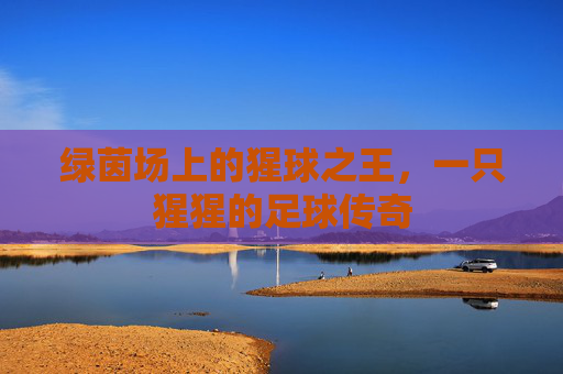 绿茵场上的猩球之王,一只猩猩的足球传奇