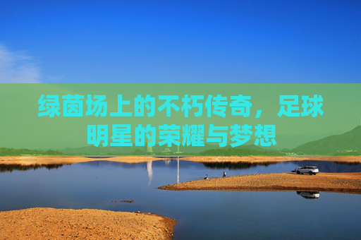 绿茵场上的不朽传奇,足球明星的荣耀与梦想