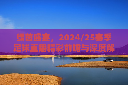 绿茵盛宴,2024/25赛季足球直播精彩前瞻与深度解析