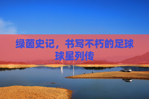 绿茵史记，书写不朽的足球球星列传