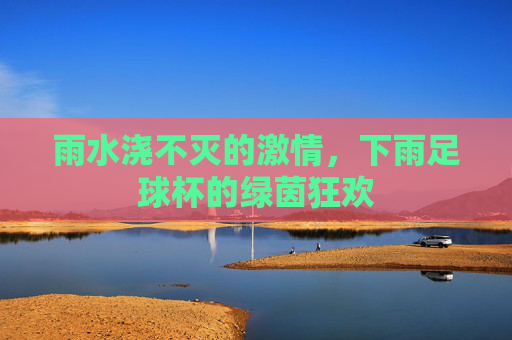 雨水浇不灭的激情,下雨足球杯的绿茵狂欢