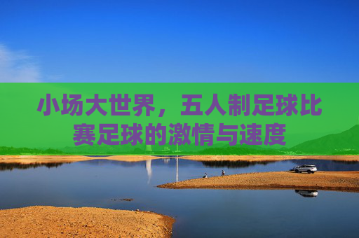 小场大世界,五人制足球比赛足球的激情与速度