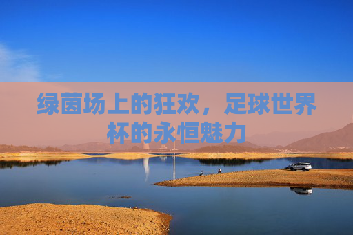 绿茵场上的狂欢，足球世界杯的永恒魅力