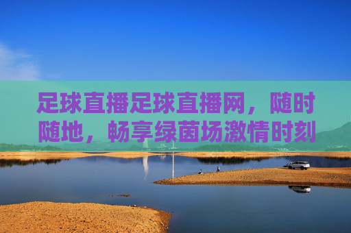 足球直播足球直播网，随时随地，畅享绿茵场激情时刻