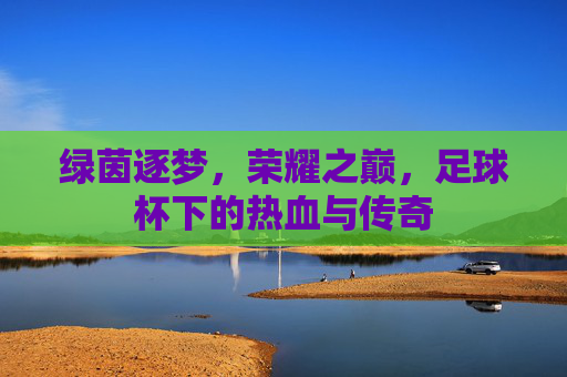 绿茵逐梦,荣耀之巅,足球杯下的热血与传奇