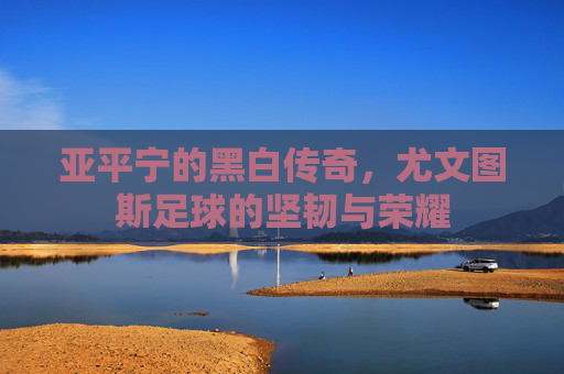 亚平宁的黑白传奇，尤文图斯足球的坚韧与荣耀