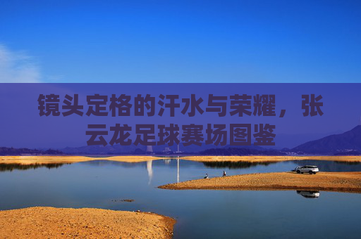 镜头定格的汗水与荣耀,张云龙足球赛场图鉴