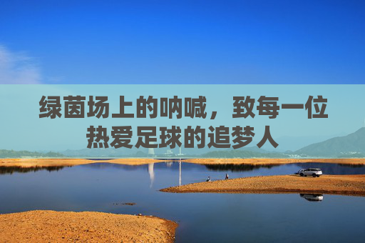 绿茵场上的呐喊,致每一位热爱足球的追梦人
