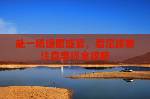 赴一场绿茵盛宴，看足球赛注意事项全攻略