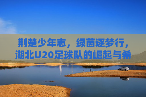 荆楚少年志,绿茵逐梦行,湖北U20足球队的崛起与希望