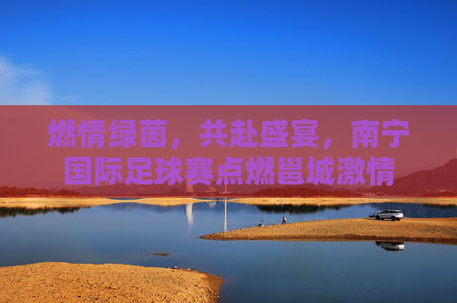 燃情绿茵,共赴盛宴,南宁国际足球赛点燃邕城激情