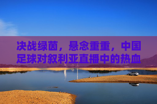 决战绿茵，悬念重重，中国足球对叙利亚直播中的热血与守望