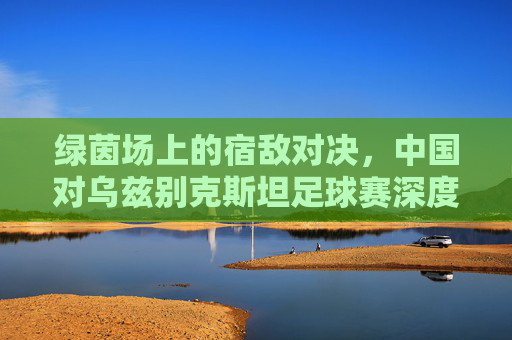 绿茵场上的宿敌对决,中国对乌兹别克斯坦足球赛深度解析