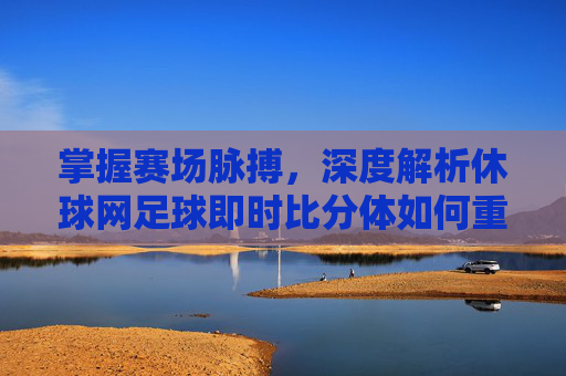 掌握赛场脉搏,深度解析休球网足球即时比分体如何重塑观赛体验