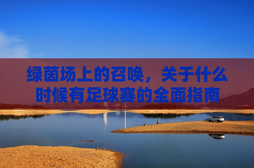 绿茵场上的召唤,关于什么时候有足球赛的全面指南