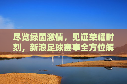 尽览绿茵激情,见证荣耀时刻,新浪足球赛事全方位解读