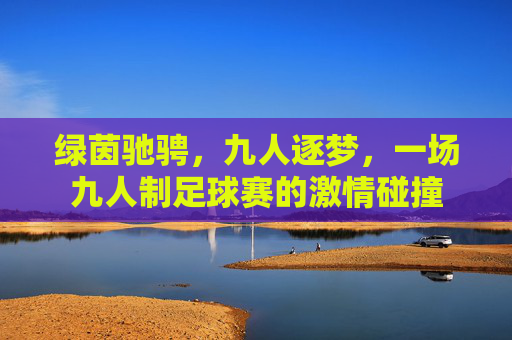 绿茵驰骋,九人逐梦,一场九人制足球赛的激情碰撞