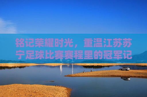 铭记荣耀时光，重温江苏苏宁足球比赛赛程里的冠军记忆