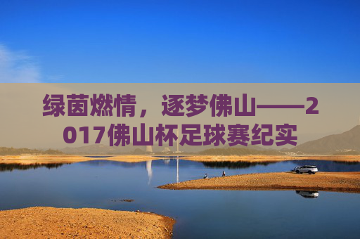 绿茵燃情,逐梦佛山——2017佛山杯足球赛纪实