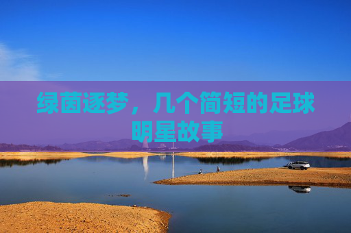 绿茵逐梦,几个简短的足球明星故事