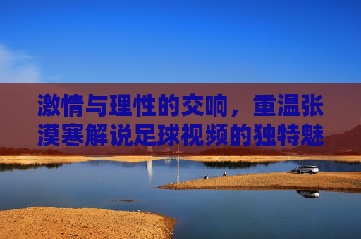 激情与理性的交响,重温张漠寒解说足球视频的独特魅力