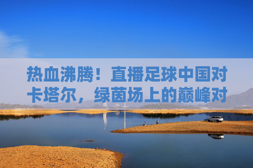 热血沸腾!直播足球中国对卡塔尔,绿茵场上的巅峰对决与青春誓言