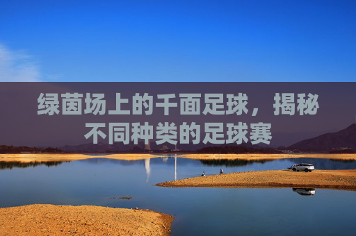 绿茵场上的千面足球,揭秘不同种类的足球赛
