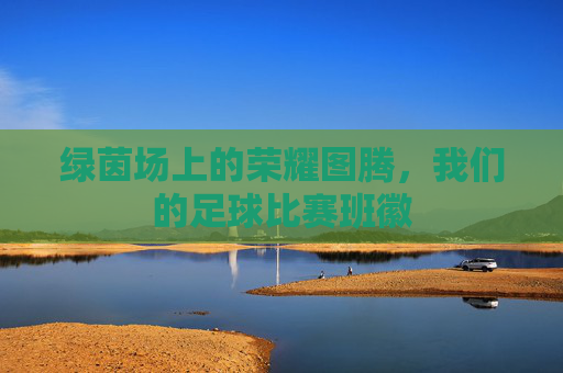 绿茵场上的荣耀图腾,我们的足球比赛班徽