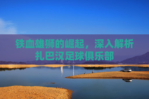 铁血雄狮的崛起,深入解析扎巴汉足球俱乐部