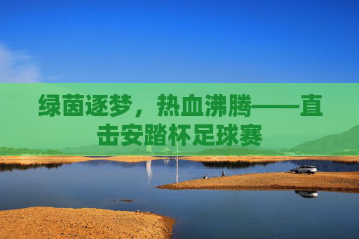 绿茵逐梦,热血沸腾——直击安踏杯足球赛