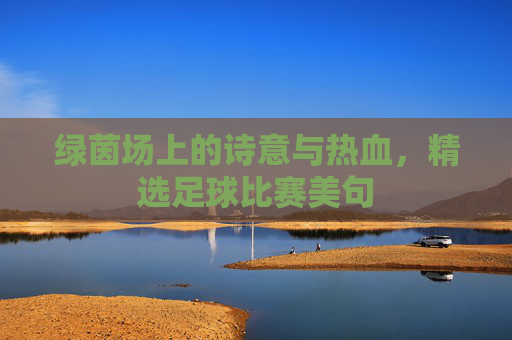 绿茵场上的诗意与热血,精选足球比赛美句