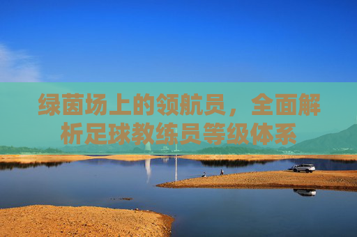 绿茵场上的领航员,全面解析足球教练员等级体系