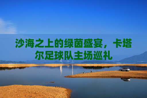 沙海之上的绿茵盛宴,卡塔尔足球队主场巡礼