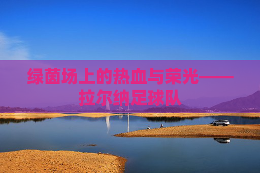 绿茵场上的热血与荣光——拉尔纳足球队