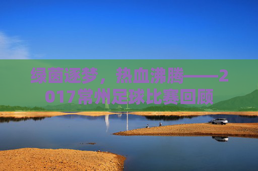 绿茵逐梦,热血沸腾——2017常州足球比赛回顾