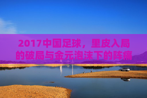 2017中国足球,里皮入局的破局与金元泡沫下的阵痛