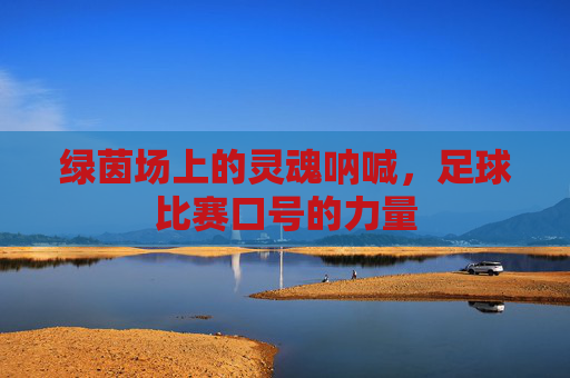 绿茵场上的灵魂呐喊，足球比赛口号的力量