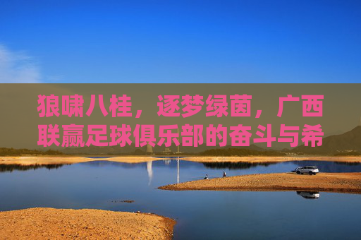 狼啸八桂,逐梦绿茵,广西联赢足球俱乐部的奋斗与希望