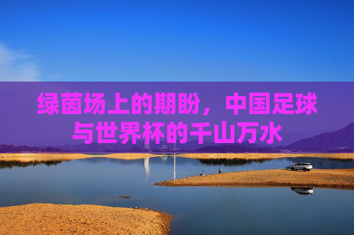 绿茵场上的期盼，中国足球与世界杯的千山万水