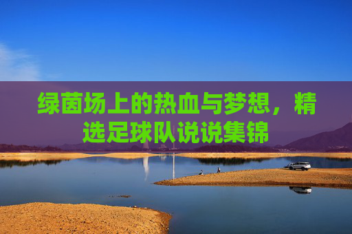 绿茵场上的热血与梦想,精选足球队说说集锦
