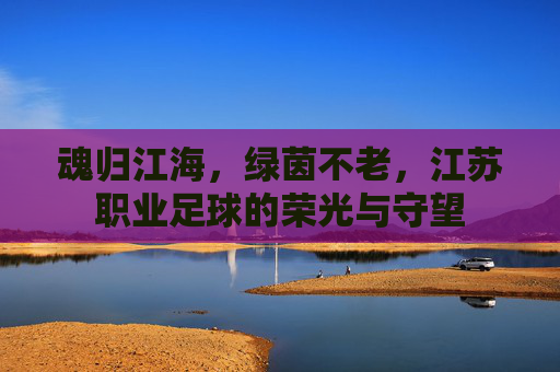 魂归江海,绿茵不老,江苏职业足球的荣光与守望