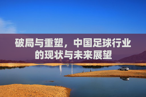 破局与重塑,中国足球行业的现状与未来展望