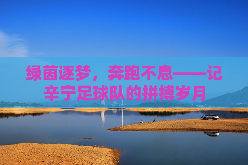 绿茵逐梦,奔跑不息——记辛宁足球队的拼搏岁月