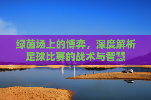 绿茵场上的博弈,深度解析足球比赛的战术与智慧