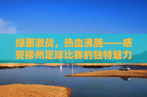 绿茵激战,热血沸腾——感受柳州足球比赛的独特魅力